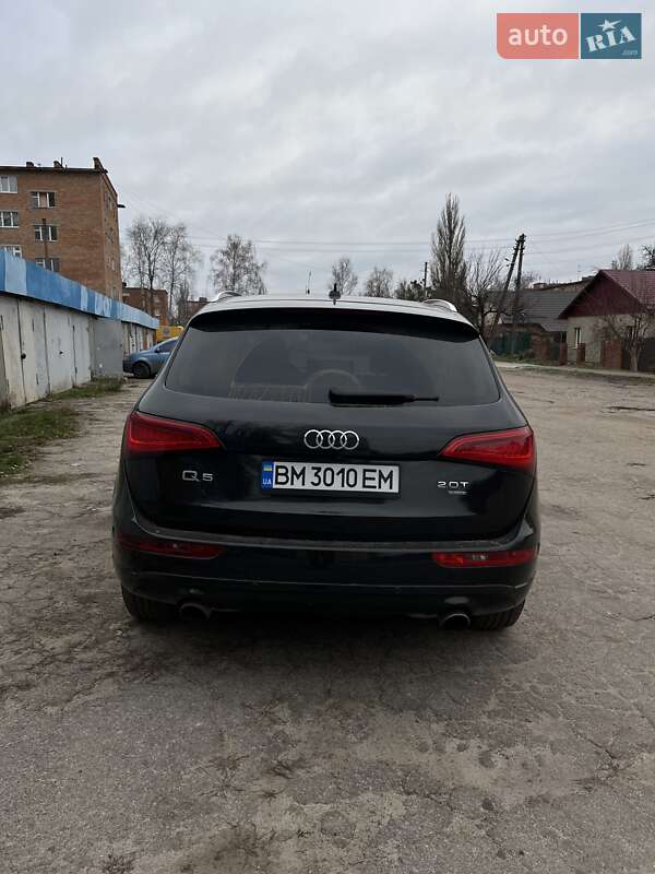 Внедорожник / Кроссовер Audi Q5 2013 в Сумах фото 6 Внедорожник / Кроссовер Audi Q5 2013 в Сумах