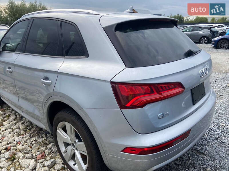 Внедорожник / Кроссовер Audi Q5 2018 в Львове фото 22 Внедорожник / Кроссовер Audi Q5 2018 в Львове