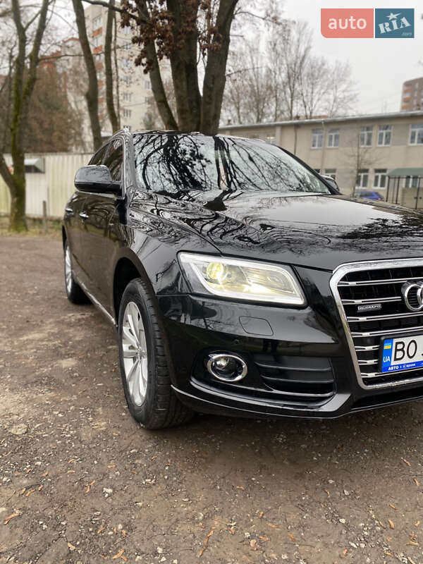 Внедорожник / Кроссовер Audi Q5 2015 в Тернополе фото 23 Внедорожник / Кроссовер Audi Q5 2015 в Тернополе
