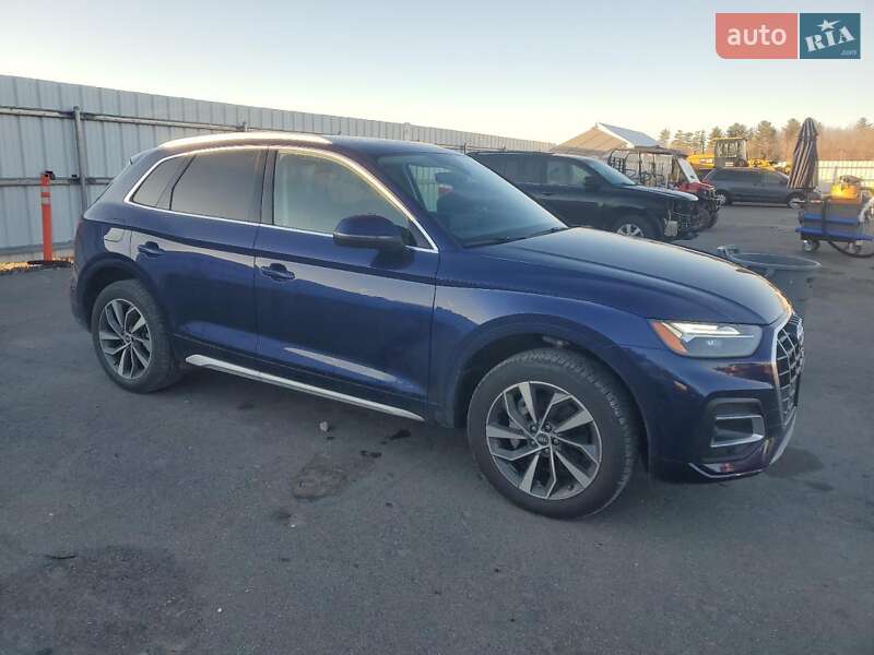 Внедорожник / Кроссовер Audi Q5 2021 в Виннице фото 5 Внедорожник / Кроссовер Audi Q5 2021 в Виннице