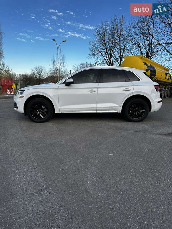 Внедорожник / Кроссовер Audi Q5 2020 в Василькове фото 7 Внедорожник / Кроссовер Audi Q5 2020 в Василькове