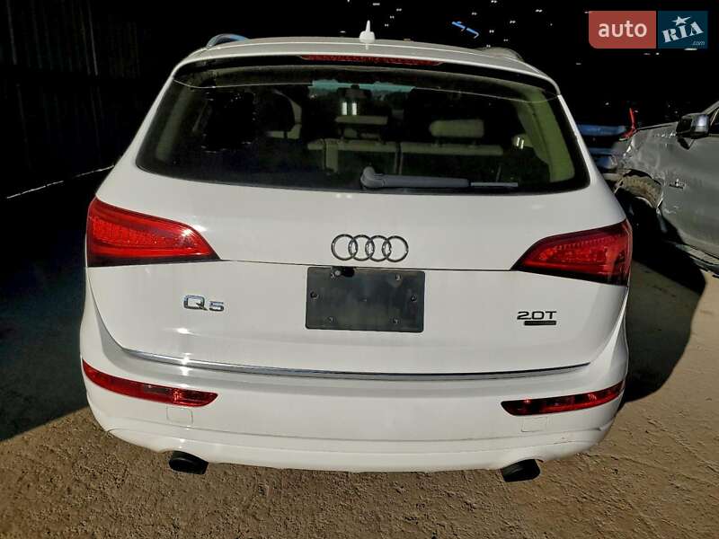 Внедорожник / Кроссовер Audi Q5 2017 в Львове фото 6 Внедорожник / Кроссовер Audi Q5 2017 в Львове