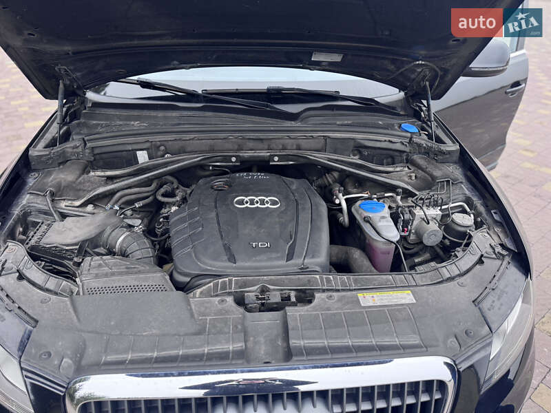 Внедорожник / Кроссовер Audi Q5 2010 в Львове