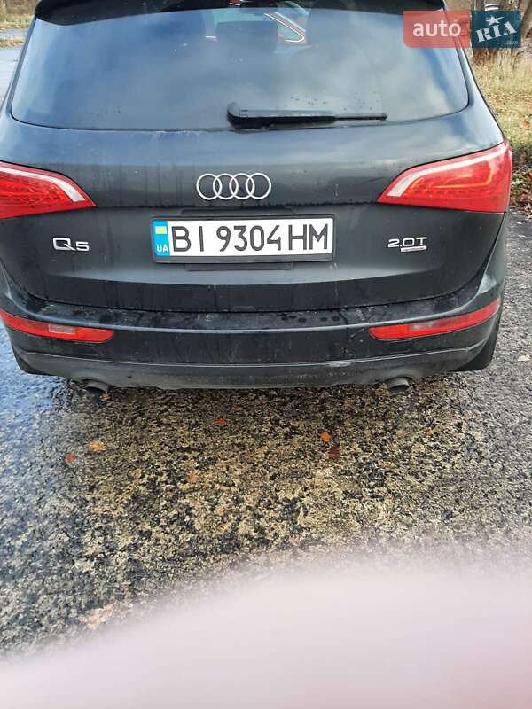 Внедорожник / Кроссовер Audi Q5 2012 в Полтаве фото 4 Внедорожник / Кроссовер Audi Q5 2012 в Полтаве