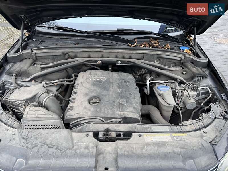 Внедорожник / Кроссовер Audi Q5 2014 в Львове фото 39 Внедорожник / Кроссовер Audi Q5 2014 в Львове