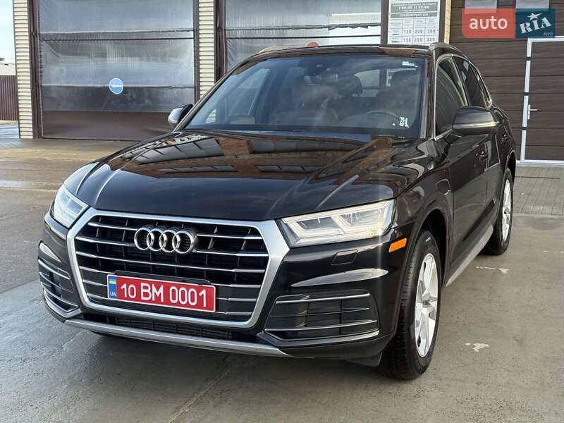 Внедорожник / Кроссовер Audi Q5 2019 в Ходорове