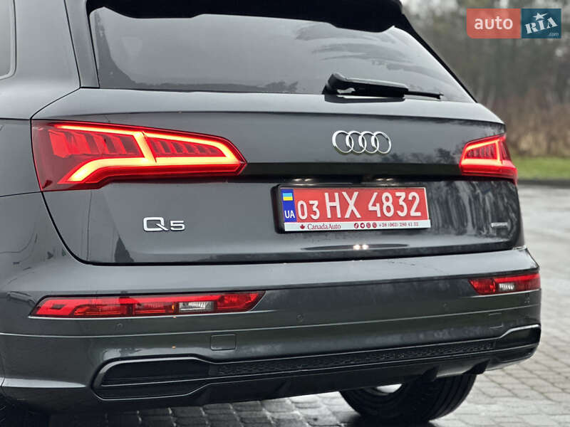 Внедорожник / Кроссовер Audi Q5 2019 в Бродах