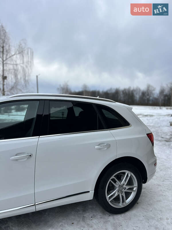 Внедорожник / Кроссовер Audi Q5 2015 в Коломые фото 26 Внедорожник / Кроссовер Audi Q5 2015 в Коломые