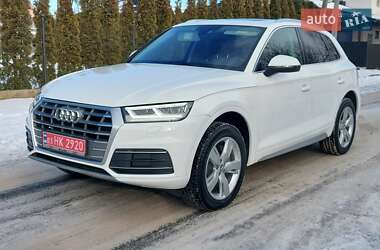 Внедорожник / Кроссовер Audi Q5 2019 в Луцке