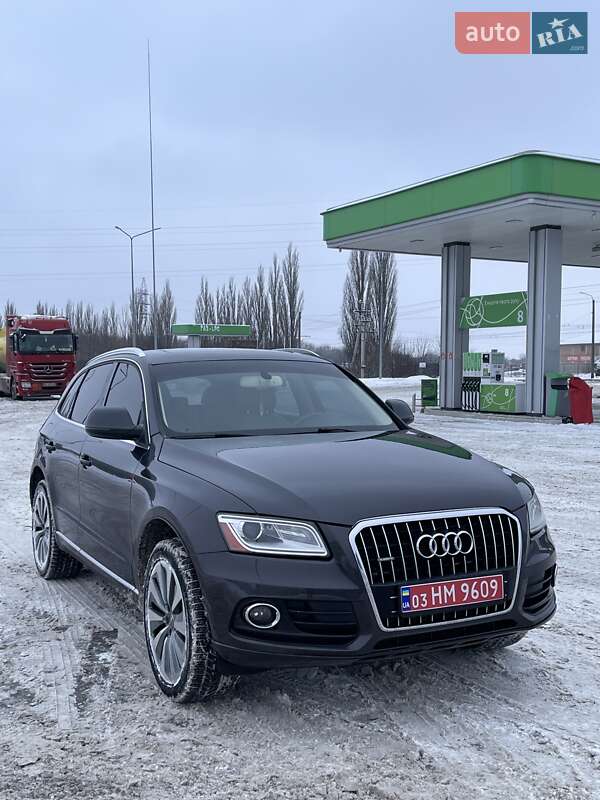 Внедорожник / Кроссовер Audi Q5 2013 в Луцке фото 2 Внедорожник / Кроссовер Audi Q5 2013 в Луцке