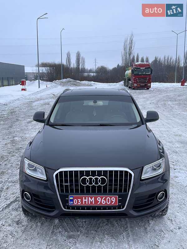 Внедорожник / Кроссовер Audi Q5 2013 в Луцке фото 11 Внедорожник / Кроссовер Audi Q5 2013 в Луцке