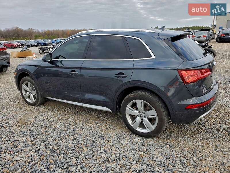 Внедорожник / Кроссовер Audi Q5 2019 в Ивано-Франковске