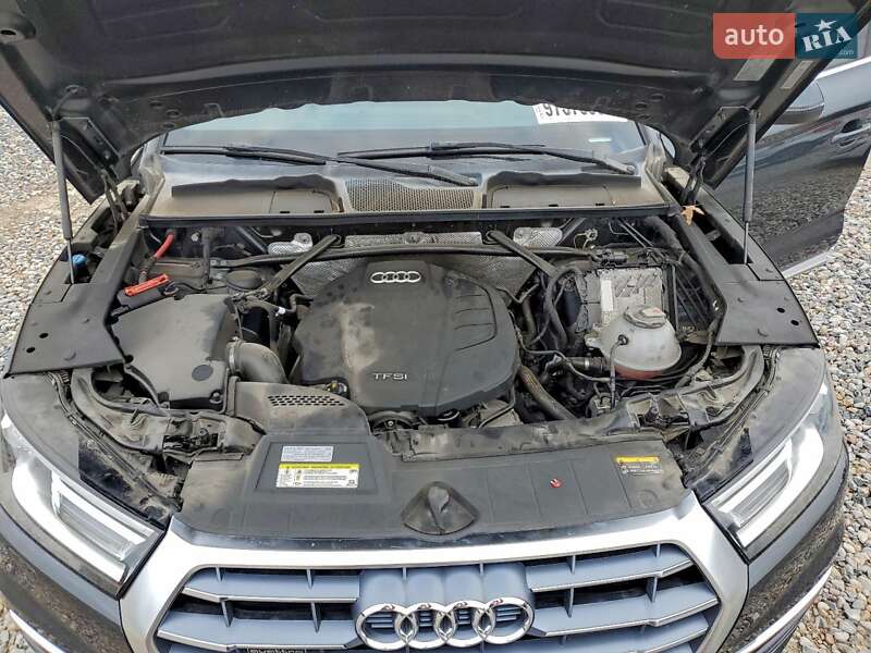 Внедорожник / Кроссовер Audi Q5 2019 в Ивано-Франковске