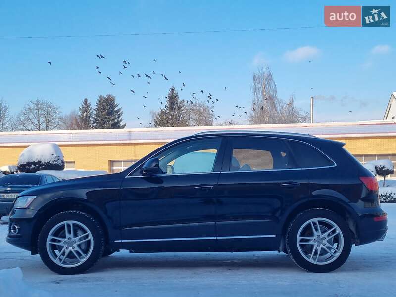 Внедорожник / Кроссовер Audi Q5 2015 в Луцке фото 6 Внедорожник / Кроссовер Audi Q5 2015 в Луцке