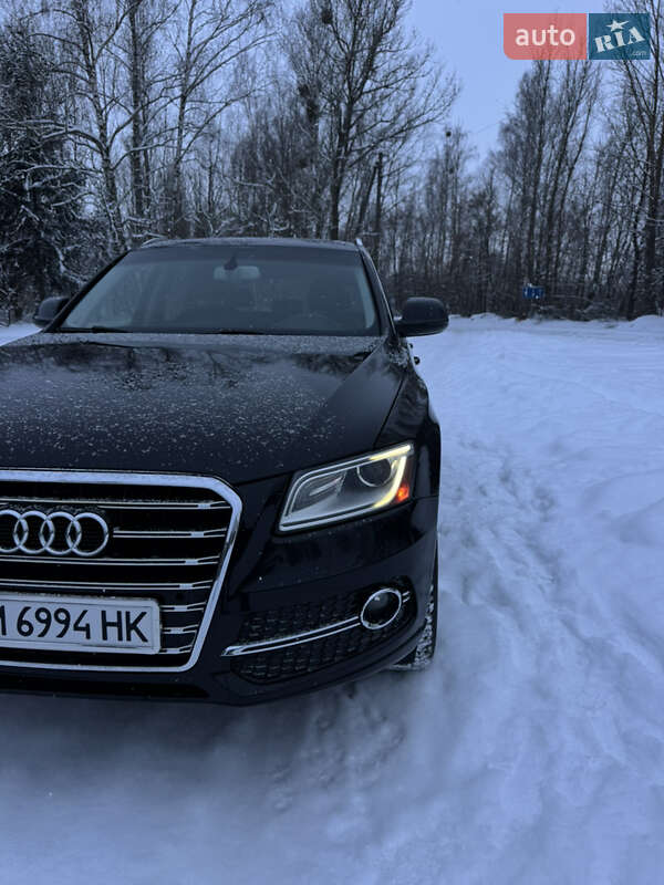 Внедорожник / Кроссовер Audi Q5 2013 в Бердичеве фото 22 Внедорожник / Кроссовер Audi Q5 2013 в Бердичеве