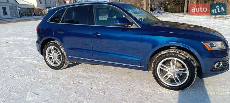 Позашляховик / Кросовер Audi Q5 2013 в Жовтих Водах фото 44 Позашляховик / Кросовер Audi Q5 2013 в Жовтих Водах