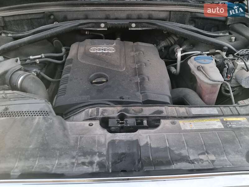 Внедорожник / Кроссовер Audi Q5 2016 в Буче фото 57 Внедорожник / Кроссовер Audi Q5 2016 в Буче