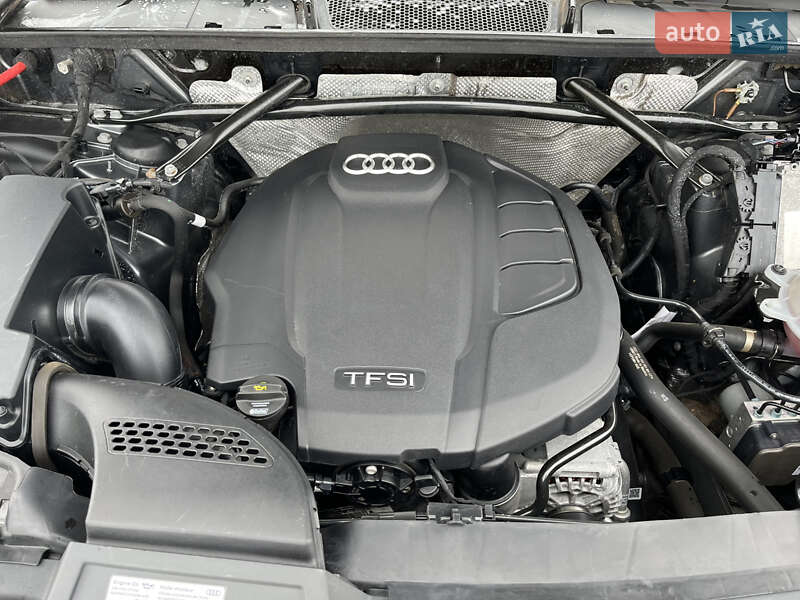 Внедорожник / Кроссовер Audi Q5 2019 в Дубно фото 28 Внедорожник / Кроссовер Audi Q5 2019 в Дубно