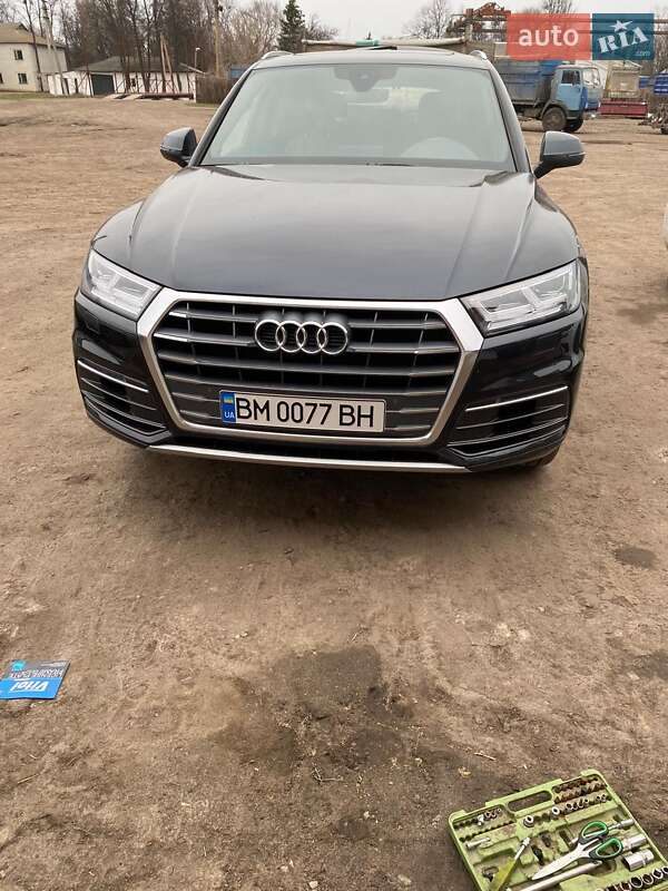 Внедорожник / Кроссовер Audi Q5 2019 в Сумах
