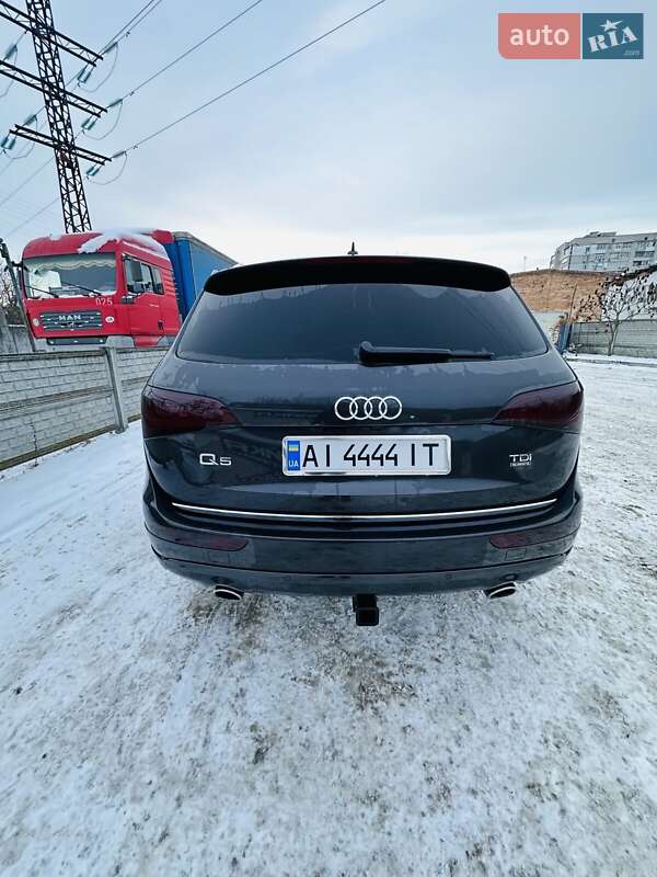 Внедорожник / Кроссовер Audi Q5 2014 в Василькове фото 13 Внедорожник / Кроссовер Audi Q5 2014 в Василькове