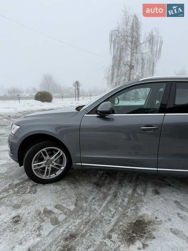 Внедорожник / Кроссовер Audi Q5 2016 в Коломые фото 14 Внедорожник / Кроссовер Audi Q5 2016 в Коломые