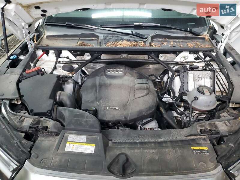 Позашляховик / Кросовер Audi Q5 2020 в Києві фото 2 Позашляховик / Кросовер Audi Q5 2020 в Києві