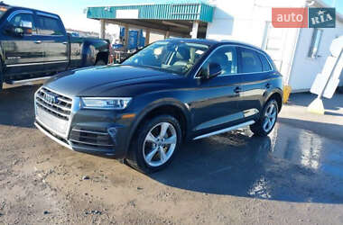 Позашляховик / Кросовер Audi Q5 2018 в Вижниці