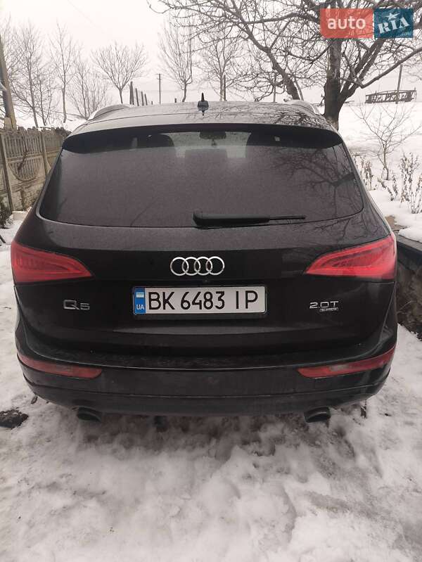 Внедорожник / Кроссовер Audi Q5 2013 в Черновцах фото 5 Внедорожник / Кроссовер Audi Q5 2013 в Черновцах