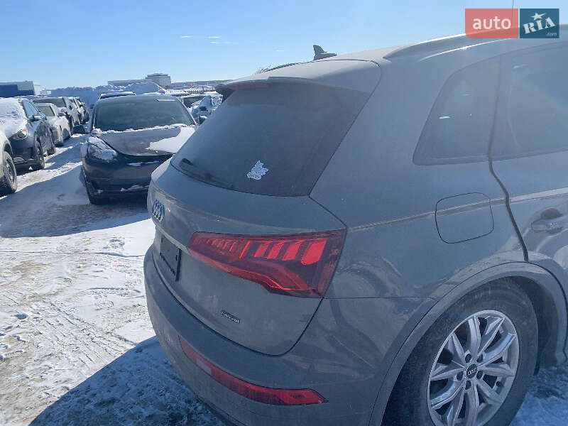 Внедорожник / Кроссовер Audi Q5 2019 в Ровно фото 45 Внедорожник / Кроссовер Audi Q5 2019 в Ровно