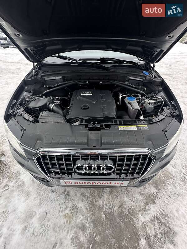 Внедорожник / Кроссовер Audi Q5 2017 в Белогородке фото 49 Внедорожник / Кроссовер Audi Q5 2017 в Белогородке