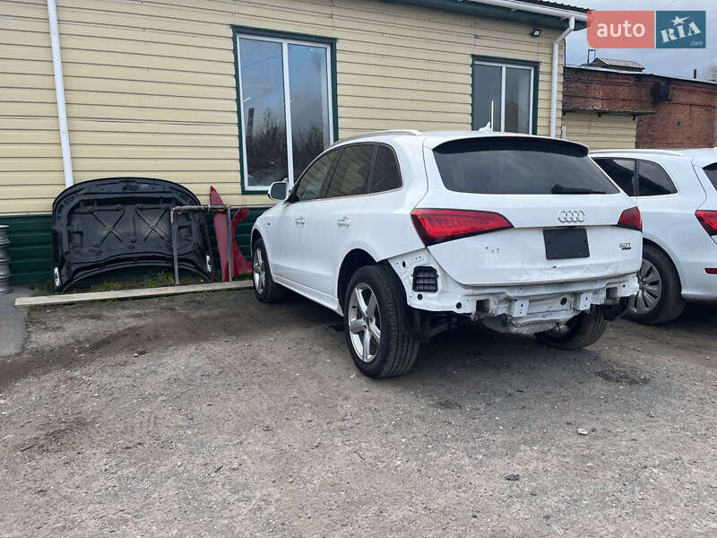 Внедорожник / Кроссовер Audi Q5 2016 в Киеве фото 18 Внедорожник / Кроссовер Audi Q5 2016 в Киеве