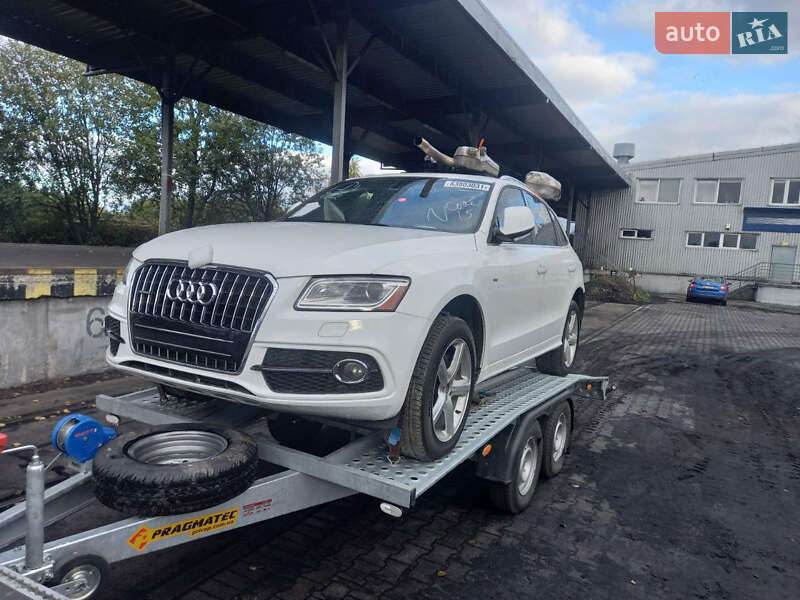 Внедорожник / Кроссовер Audi Q5 2016 в Киеве фото 21 Внедорожник / Кроссовер Audi Q5 2016 в Киеве