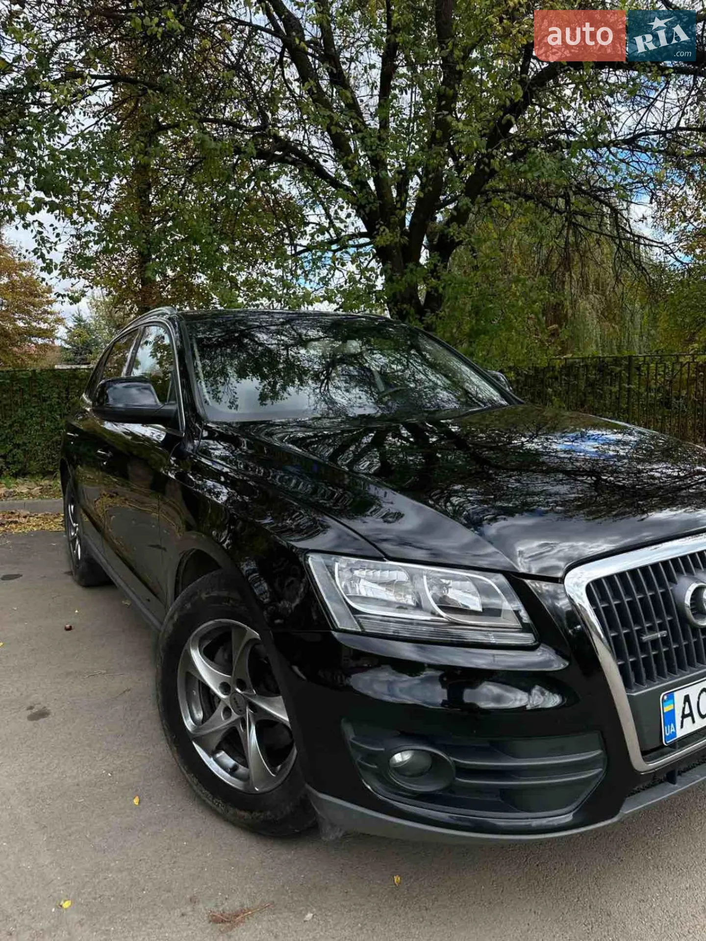 2012 Audi Q5 - мініатюра 4