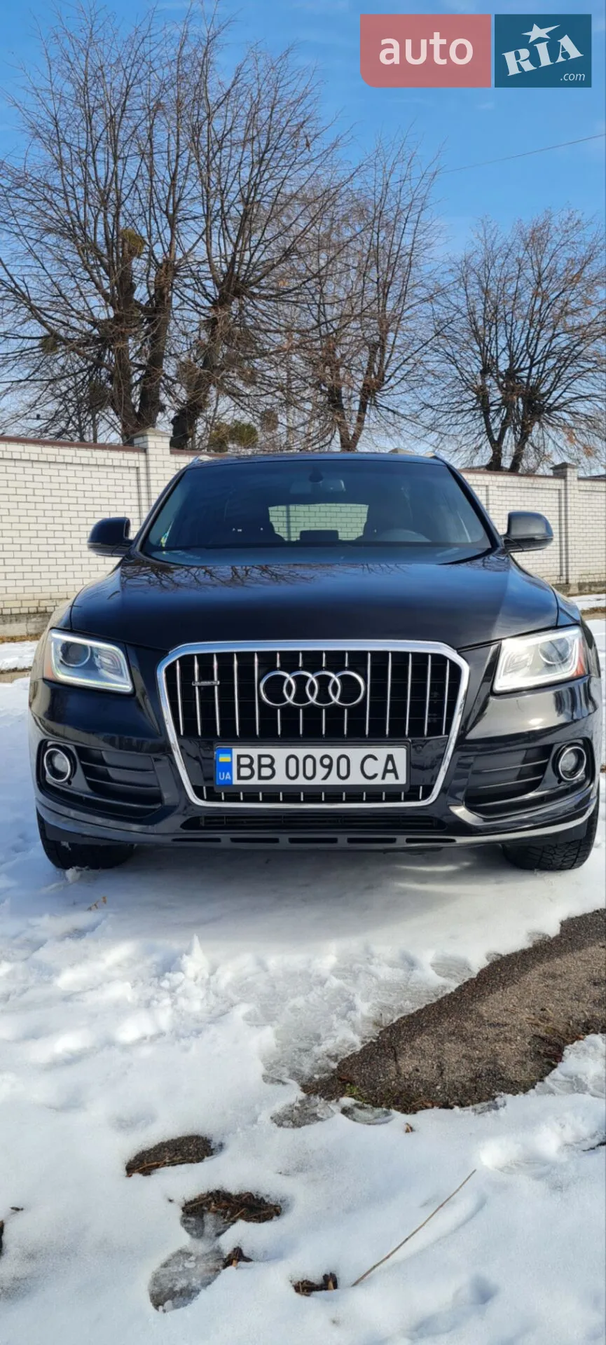 2015 Audi Q5 - фото 1