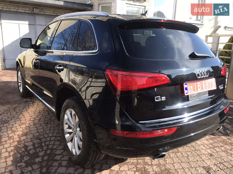 Позашляховик / Кросовер Audi Q5 2017 в Шептицькому фото 5 Позашляховик / Кросовер Audi Q5 2017 в Шептицькому