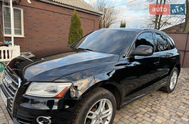 Внедорожник / Кроссовер Audi Q5 2013 в Краснограде фото 6 Внедорожник / Кроссовер Audi Q5 2013 в Краснограде