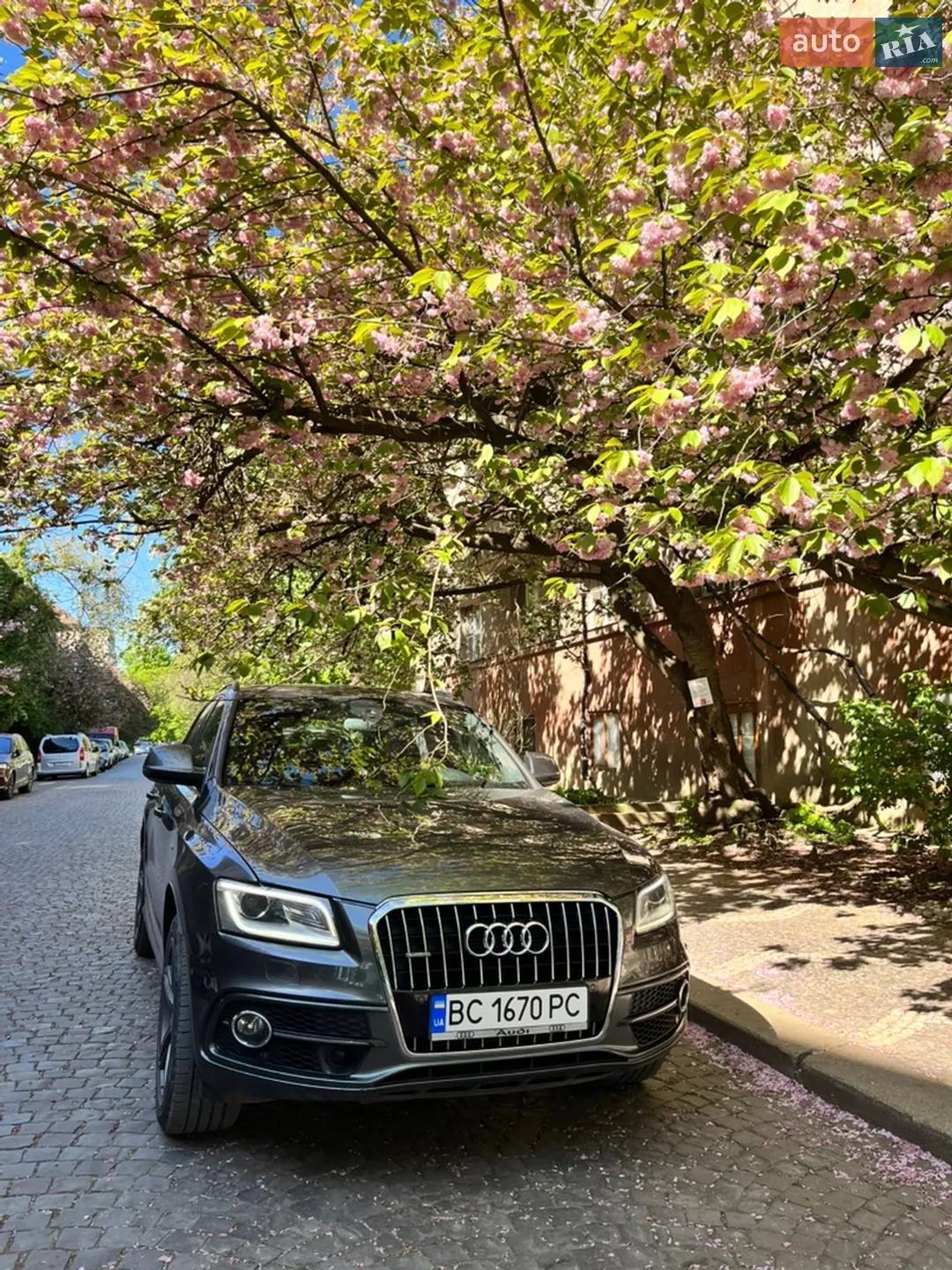 2014 Audi Q5 - мініатюра 3