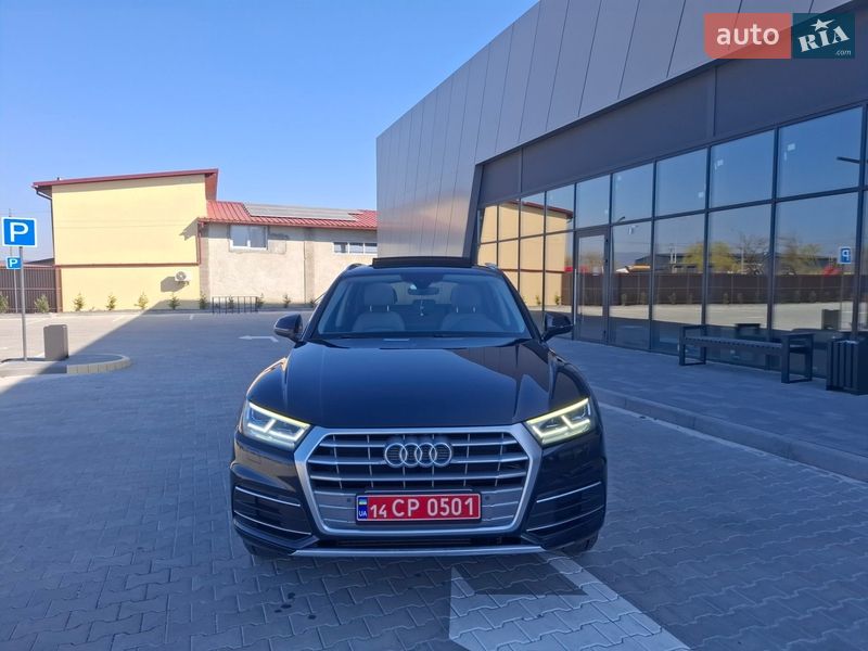 Внедорожник / Кроссовер Audi Q5 2019 в Ужгороде