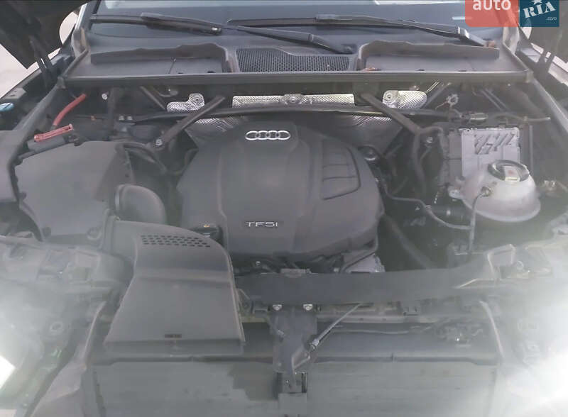 Внедорожник / Кроссовер Audi Q5 2018 в Житомире