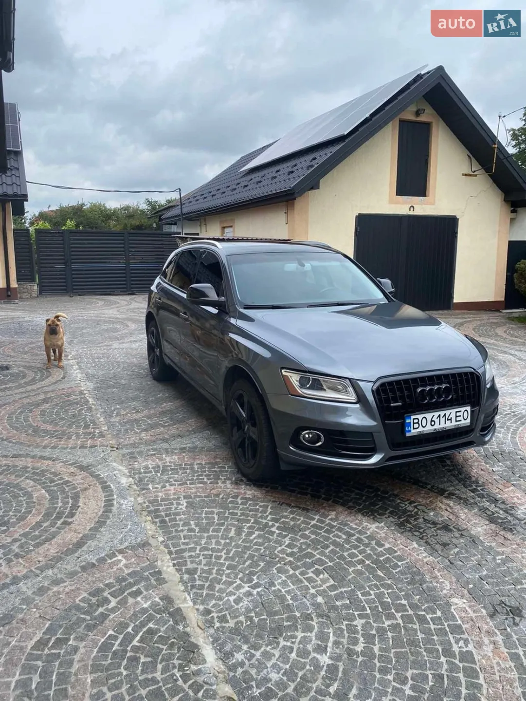 2014 Audi Q5 - мініатюра 13