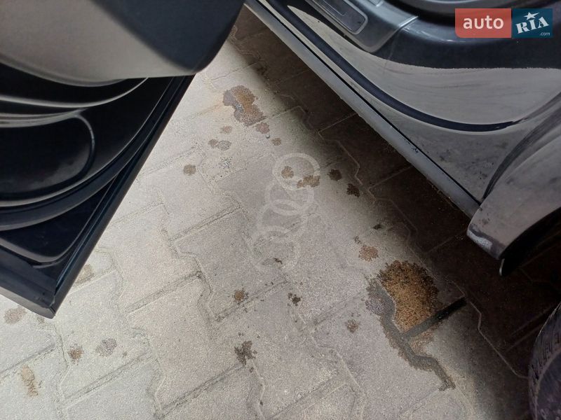 Внедорожник / Кроссовер Audi Q5 2019 в Ужгороде фото 49 Внедорожник / Кроссовер Audi Q5 2019 в Ужгороде