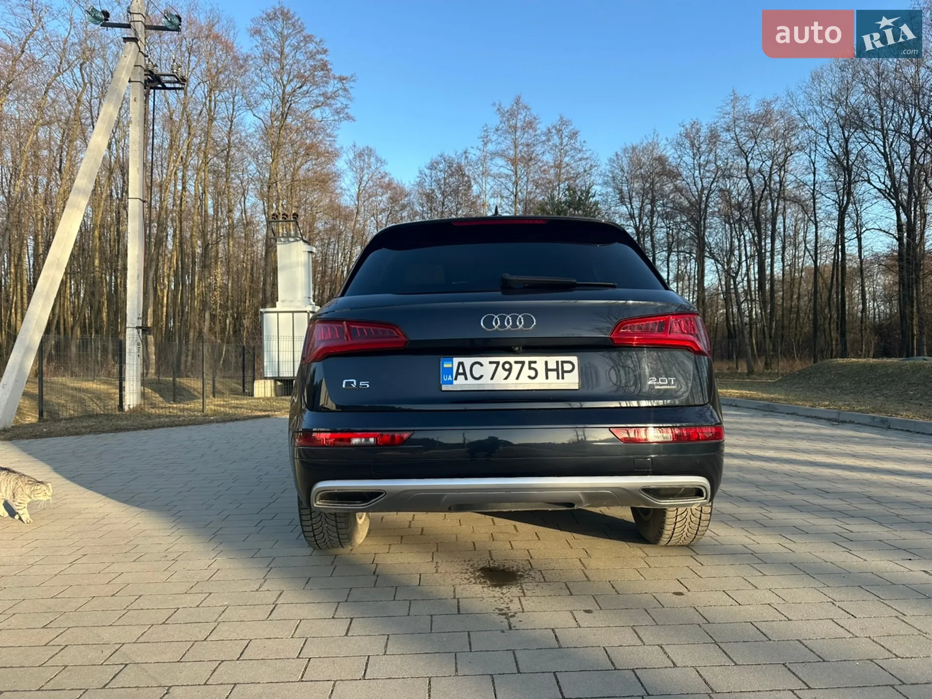 2017 Audi Q5 - мініатюра 5