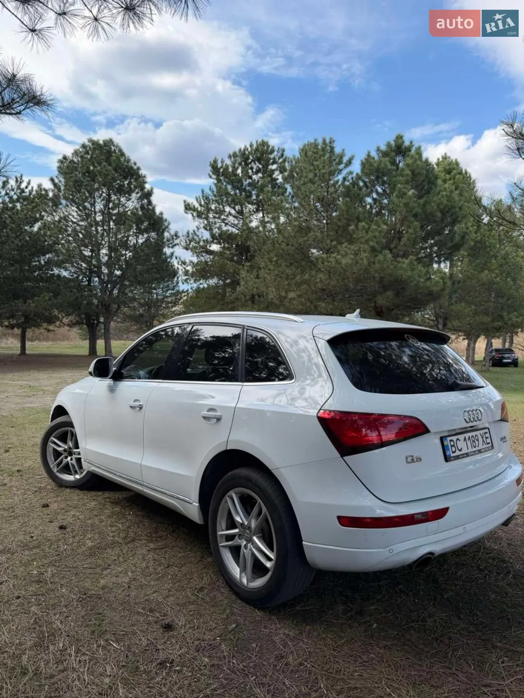 2013 Audi Q5 - мініатюра 13