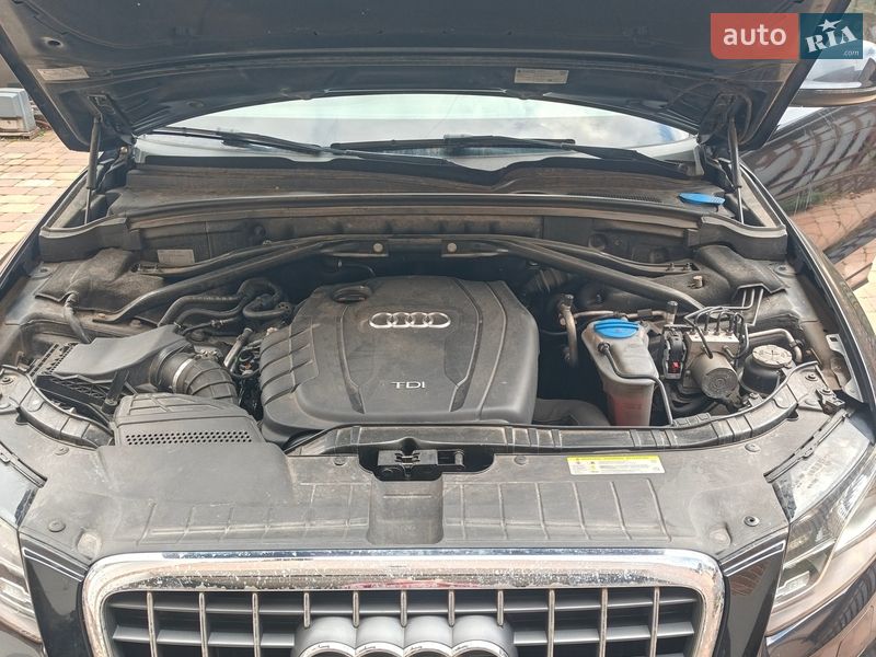 Внедорожник / Кроссовер Audi Q5 2012 в Киеве фото 5 Внедорожник / Кроссовер Audi Q5 2012 в Киеве