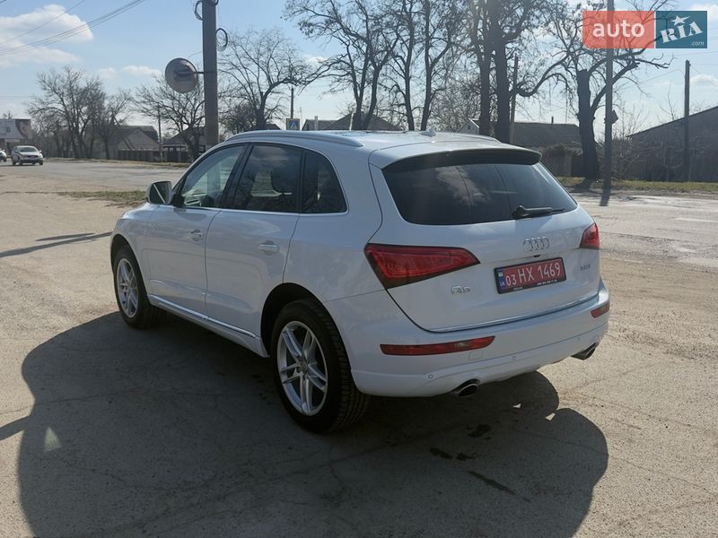 Внедорожник / Кроссовер Audi Q5 2017 в Вознесенске фото 5 Внедорожник / Кроссовер Audi Q5 2017 в Вознесенске