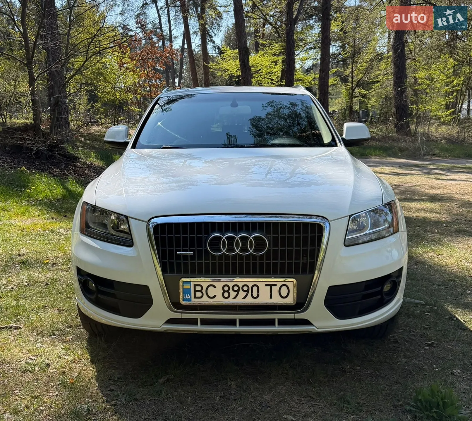 2010 Audi Q5 - мініатюра 3