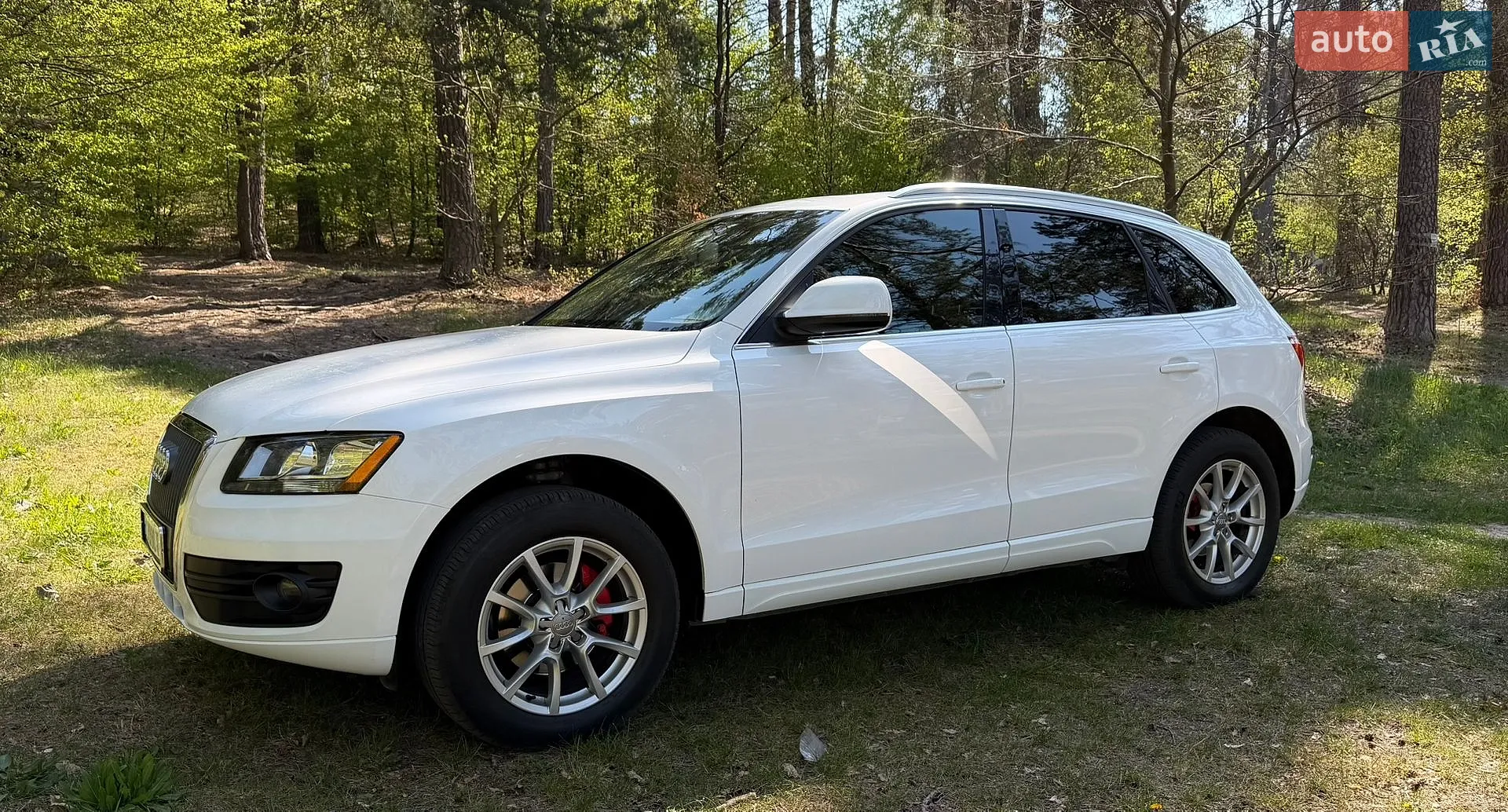 2010 Audi Q5 - мініатюра 4