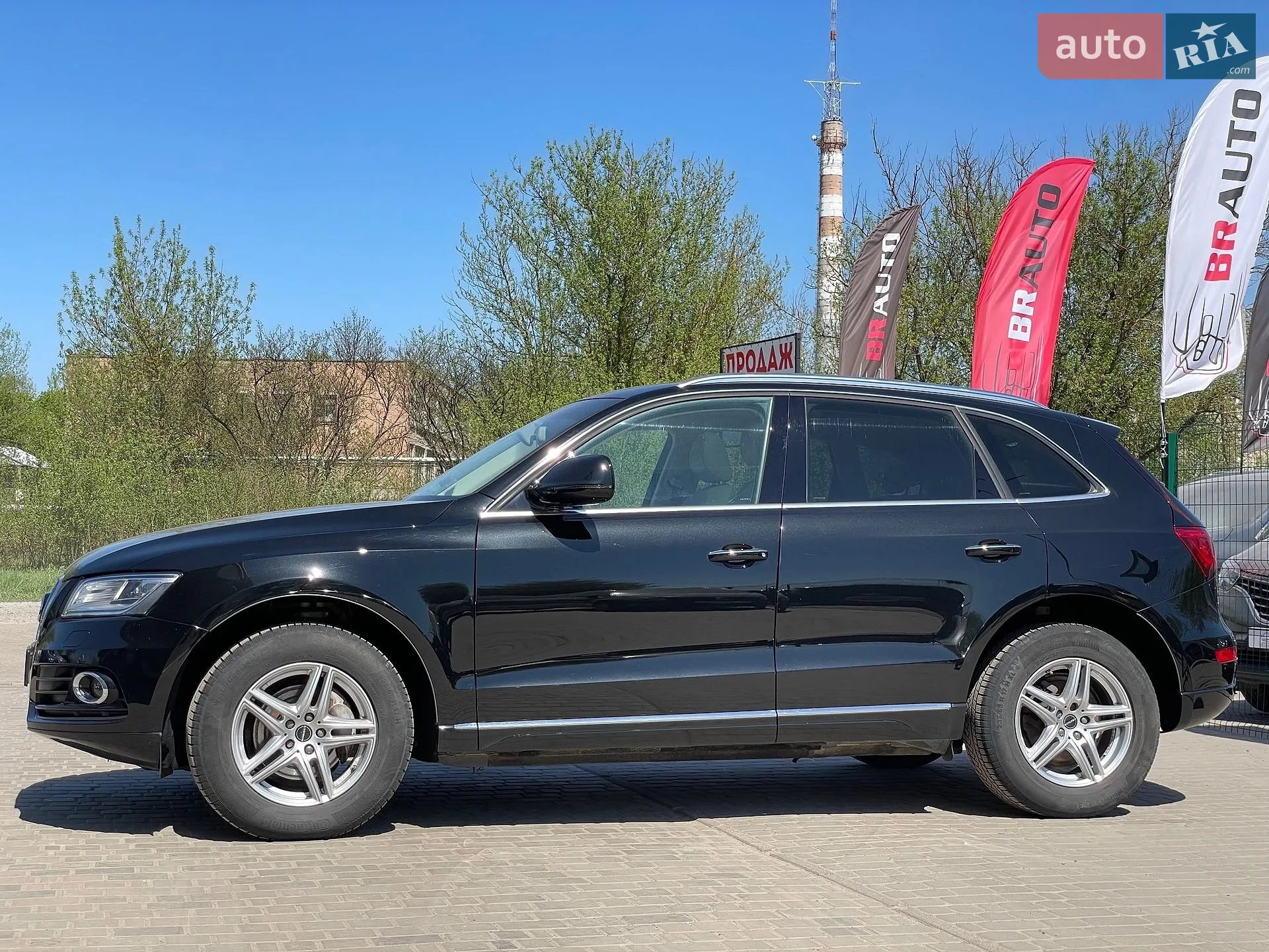 2015 Audi Q5 - мініатюра 12