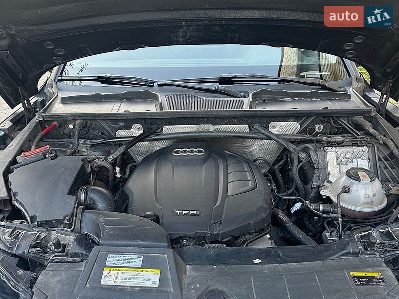 Внедорожник / Кроссовер Audi Q5 2019 в Сумах