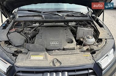 Внедорожник / Кроссовер Audi Q5 2019 в Житомире
